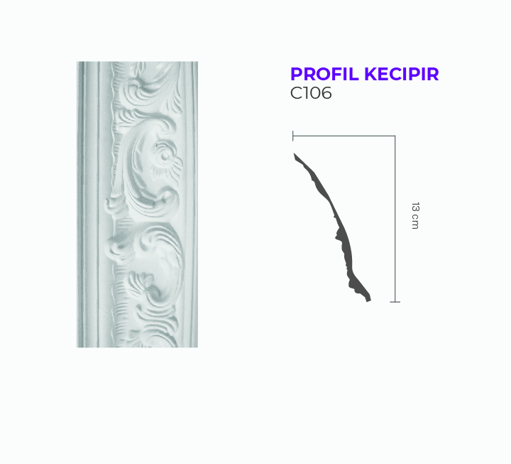 PROFIL  KECIPIR C106