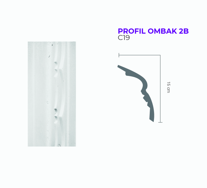 PROFIL OMBAK 2B C19