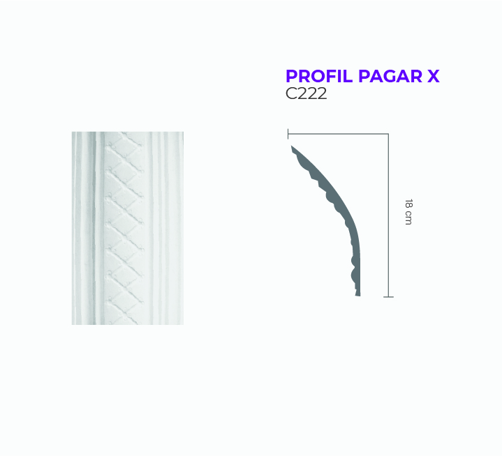 PROFIL PAGAR X C222