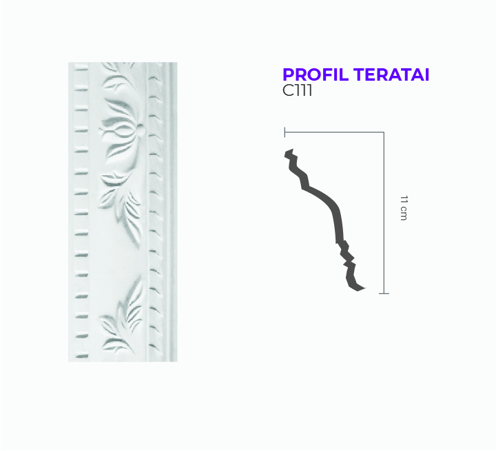 PROFIL TERATAI C111