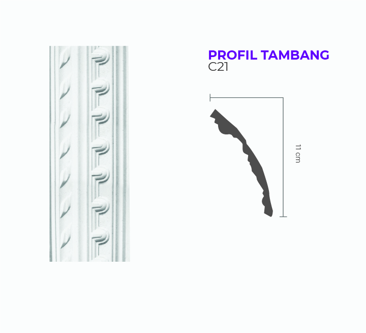 PROFIL TAMBANG C21