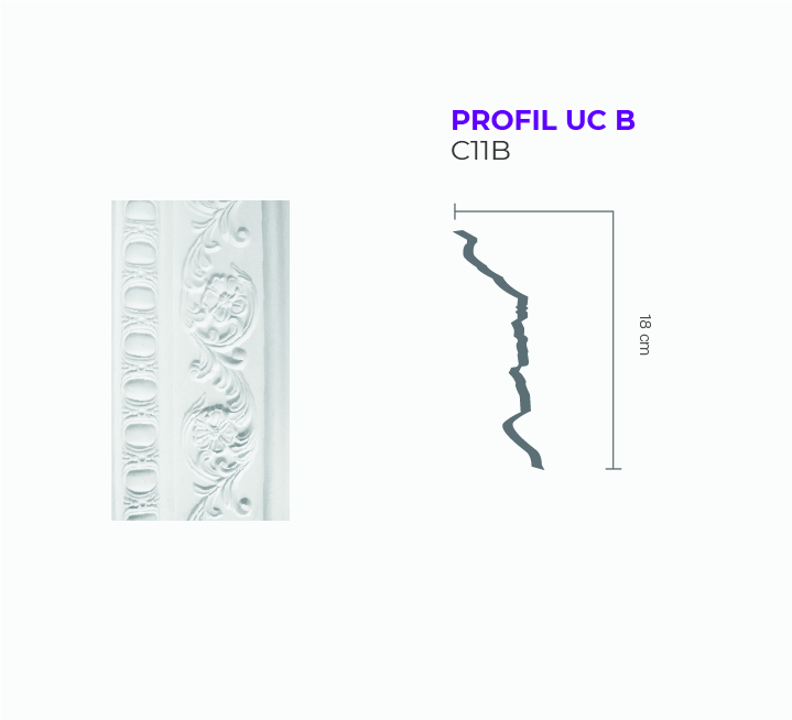 PROFIL UC B C11B